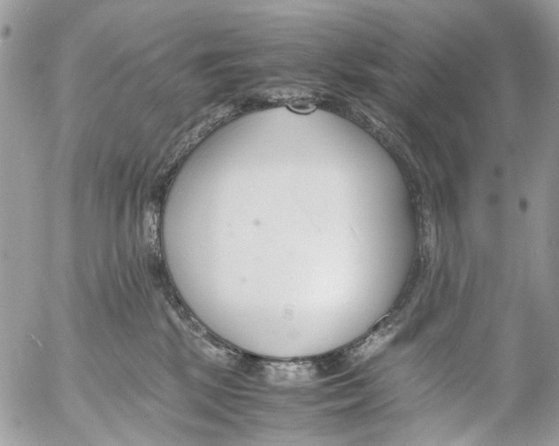 X0000053070281200508081227