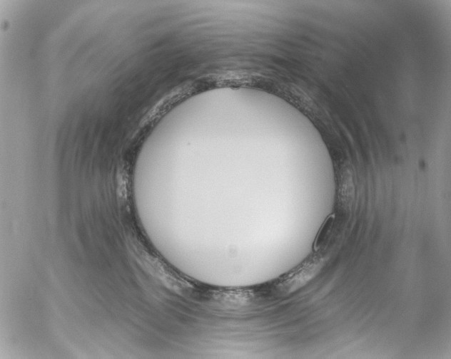 X0000053070282200508081227