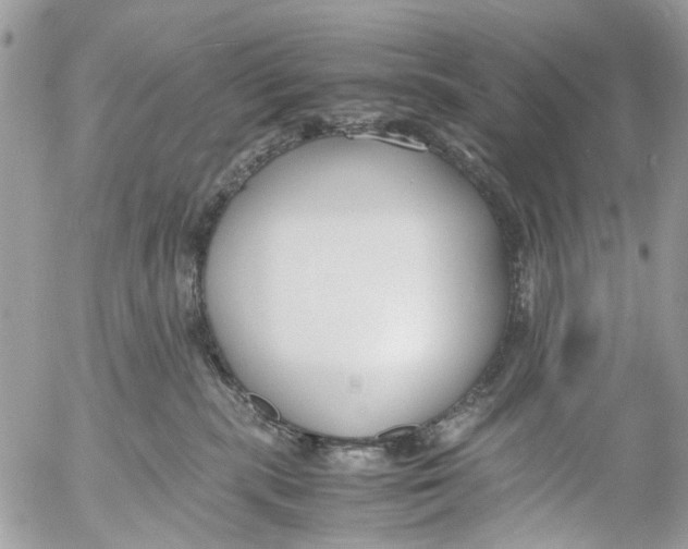 X0000053070283200508081227