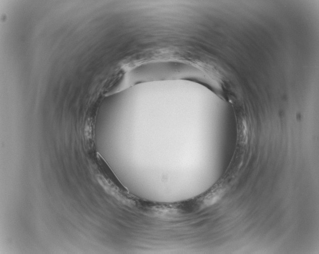 X0000053070284200508081227