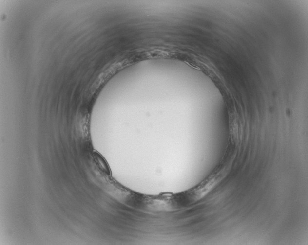 X0000053070285200508081227