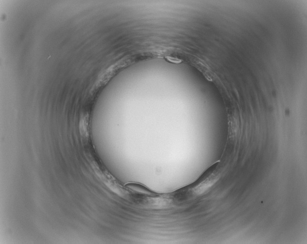 X0000053070286200508081228