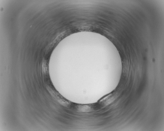 X0000053070287200508081228