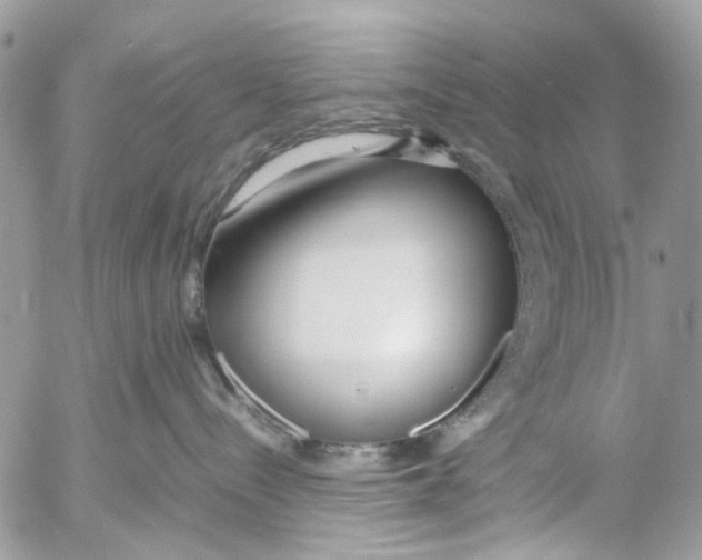 X0000053070288200508081228