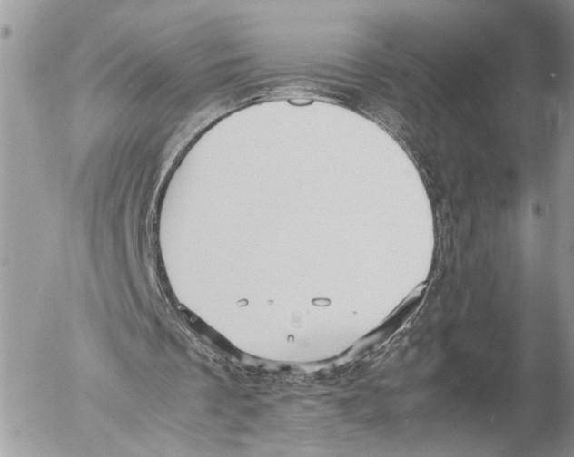 X0000053070289200508081227