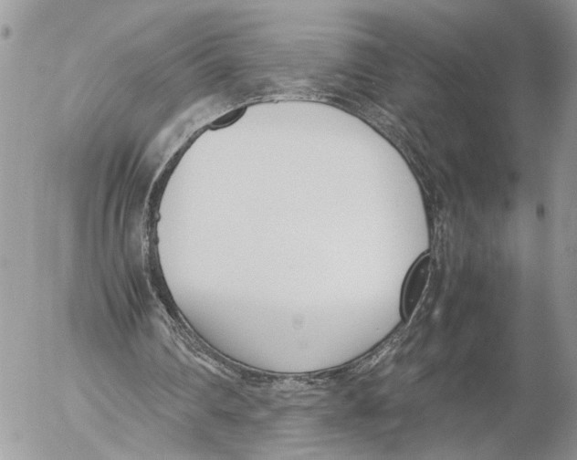 X0000053070290200508081227