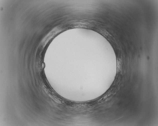 X0000053070291200508081227