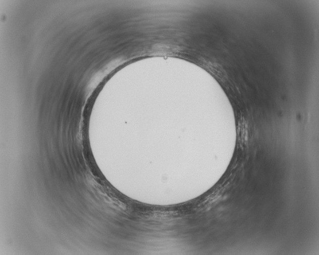 X0000053070292200508081227