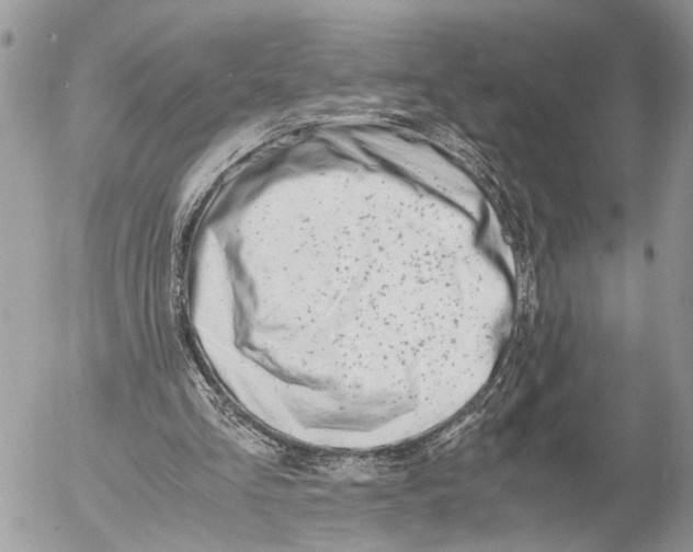 X0000053070293200508081227