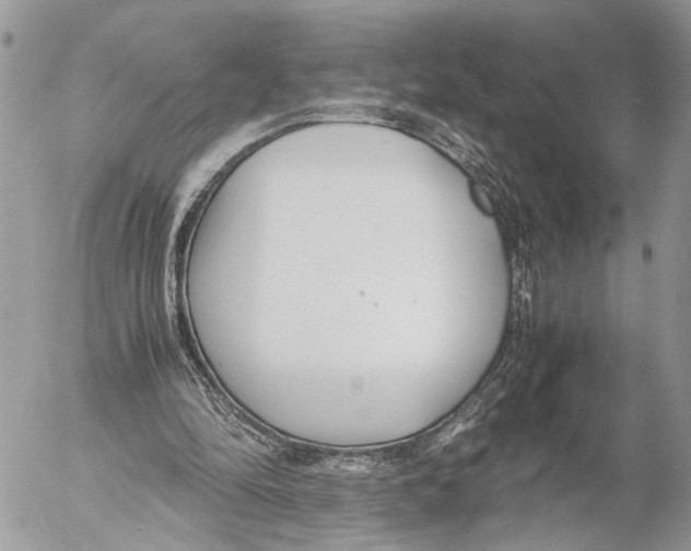 X0000053070294200508081227