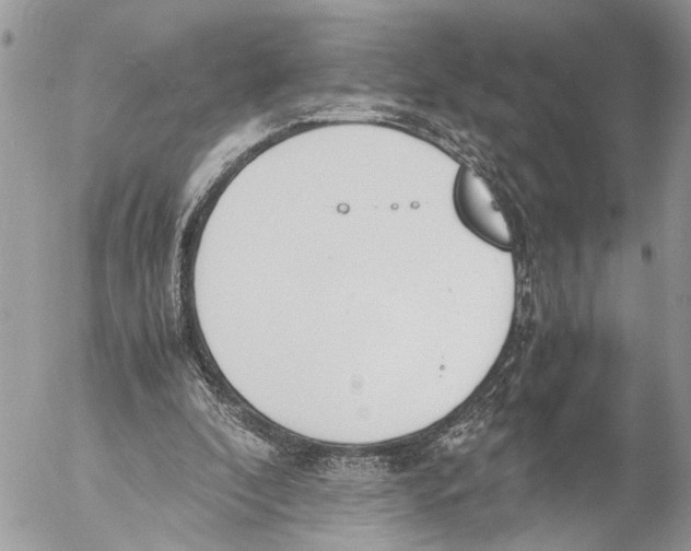 X0000053070296200508081227