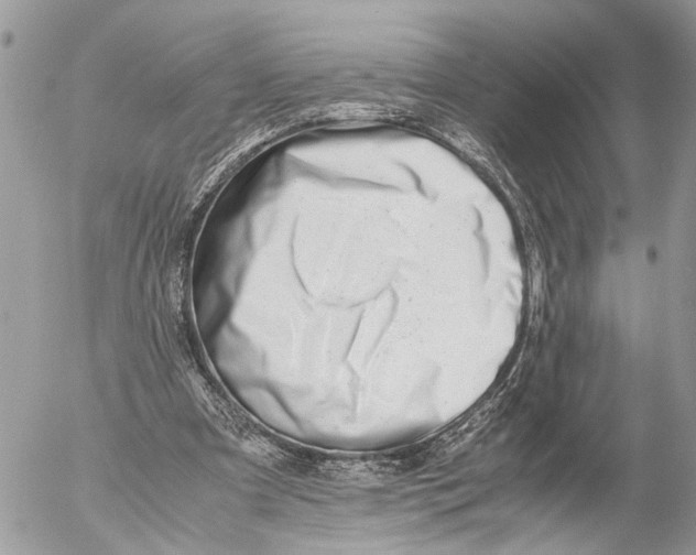 X0000053070297200508081227