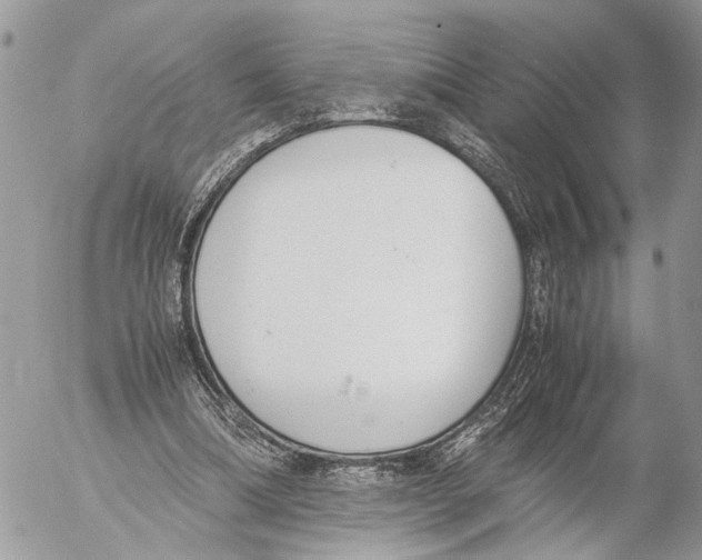 X0000053070298200508081227