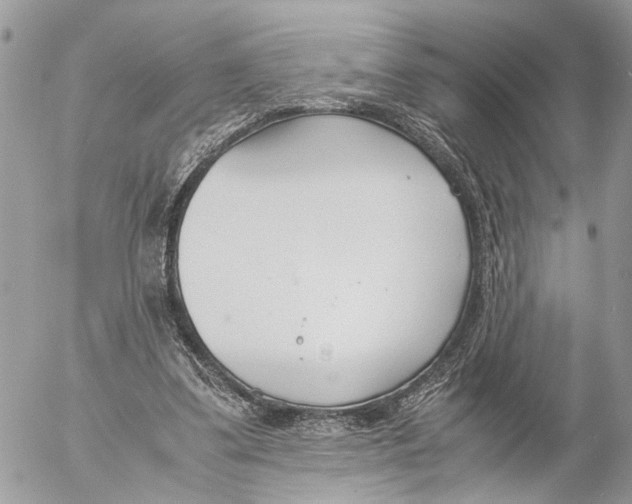 X0000053070299200508081227