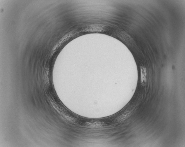 X0000053070300200508081227