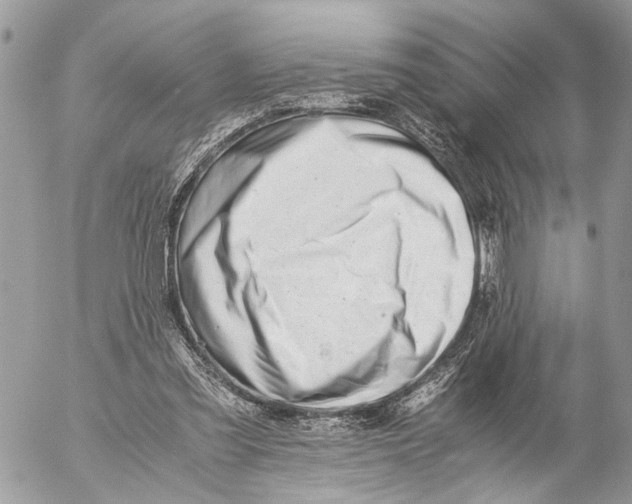 X0000053070301200508081227