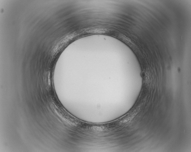 X0000053070302200508081227