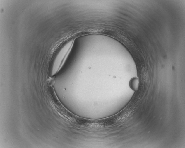 X0000053070303200508081227