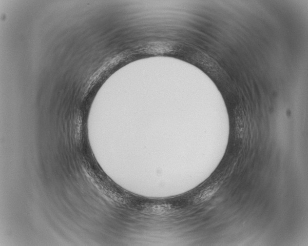 X0000053070304200508081226