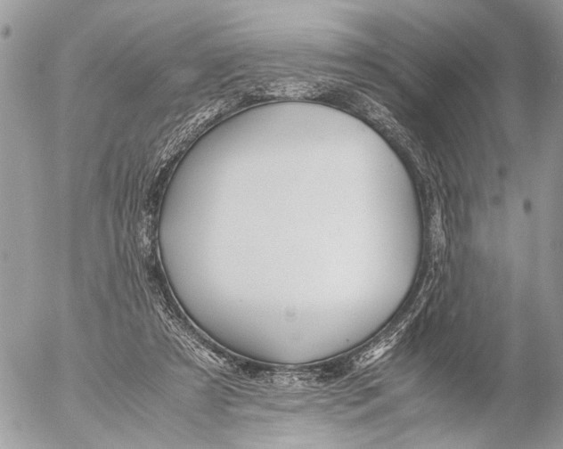 X0000053070305200508081226