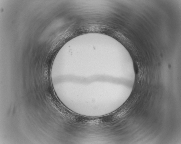 X0000053070306200508081226