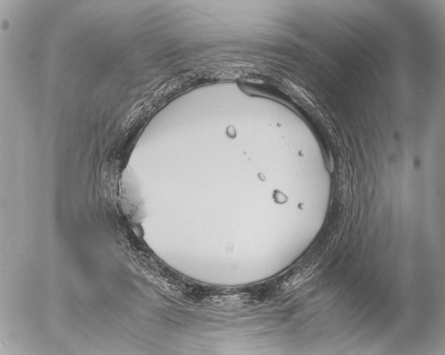 X0000053070307200508081226