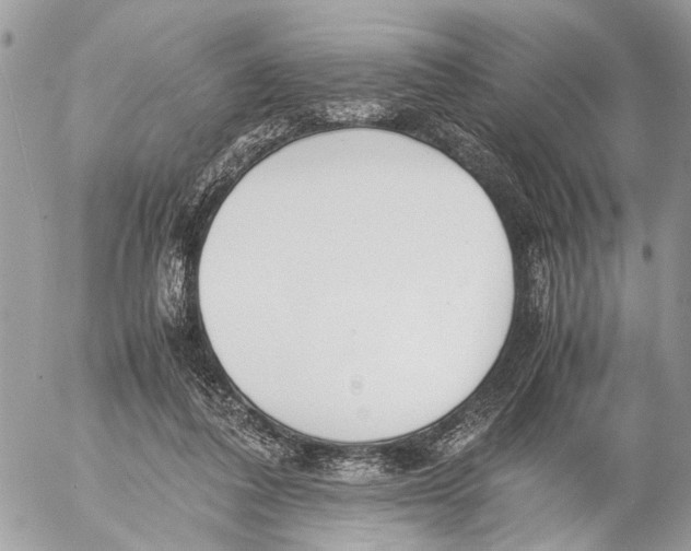 X0000053070308200508081226