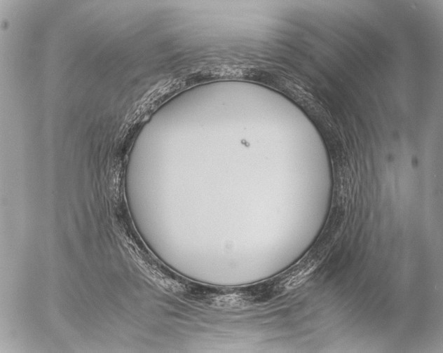 X0000053070309200508081226