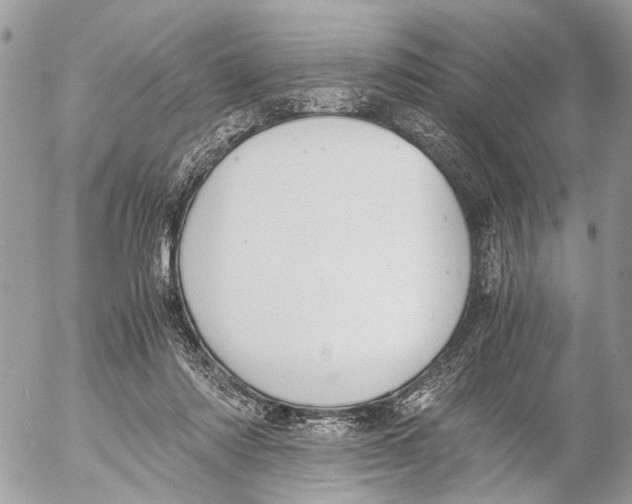 X0000053070310200508081226