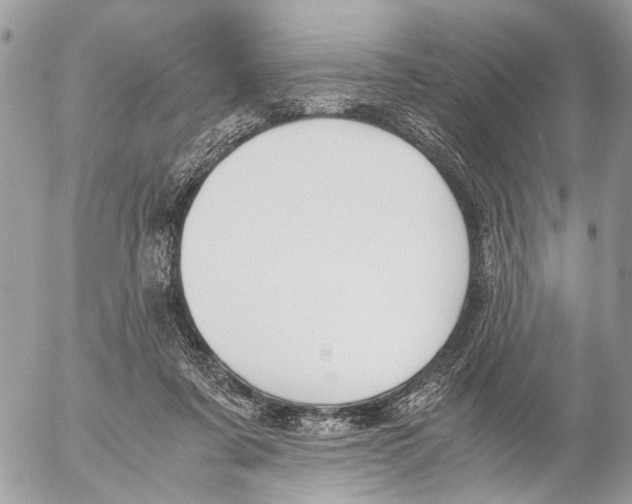 X0000053070311200508081226