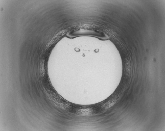 X0000053070312200508081226