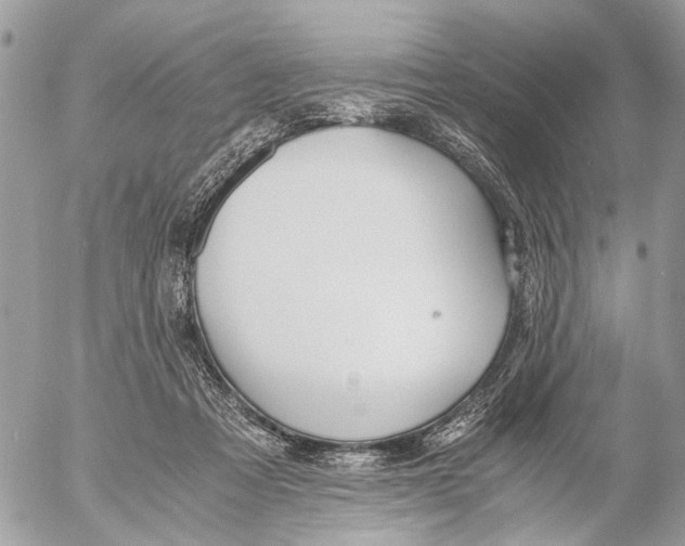 X0000053070313200508081226