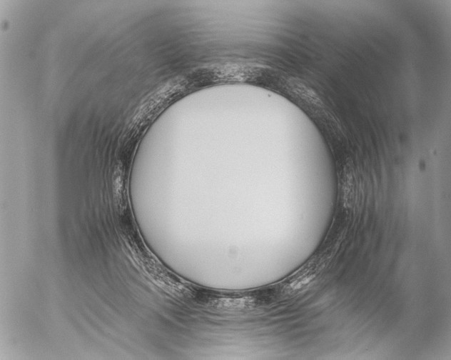 X0000053070314200508081226