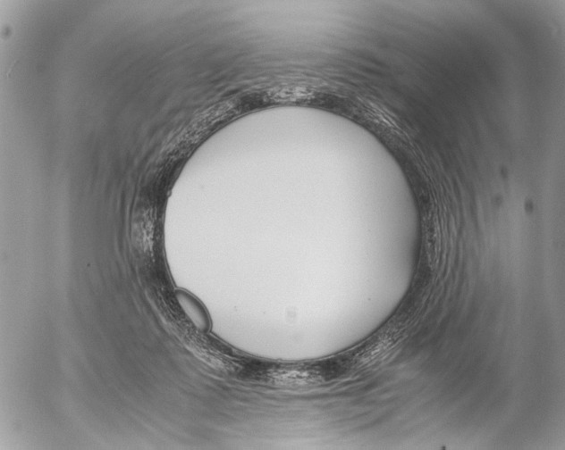 X0000053070315200508081226