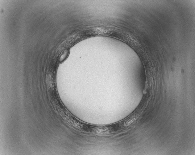 X0000053070317200508081226