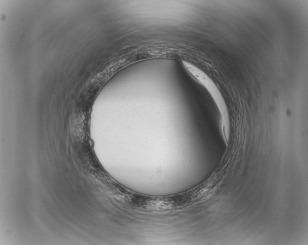 X0000053070319200508081226