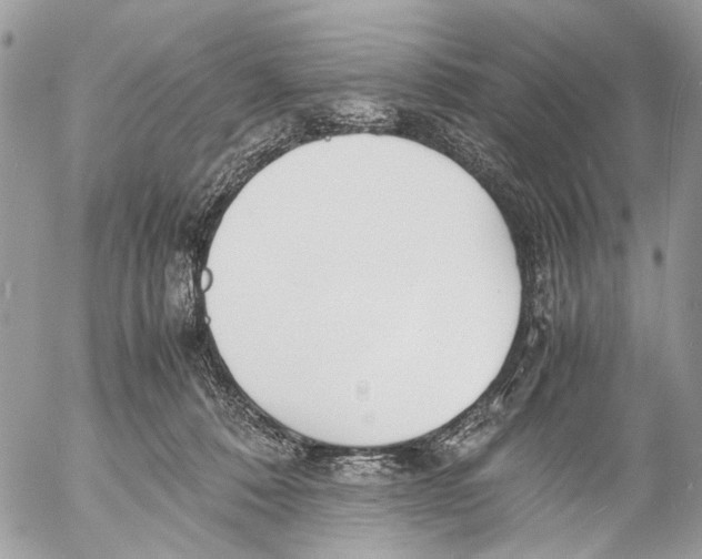 X0000053070320200508081226