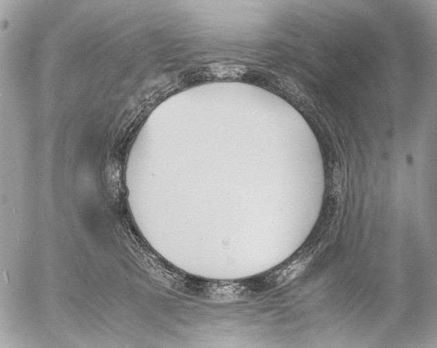 X0000053070321200508081226