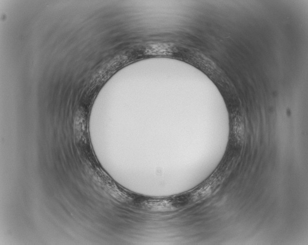 X0000053070322200508081226