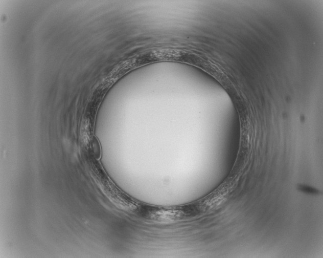 X0000053070323200508081226