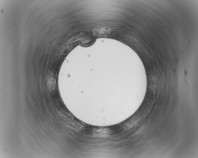 X0000053070324200508081226