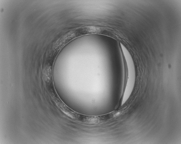 X0000053070325200508081226