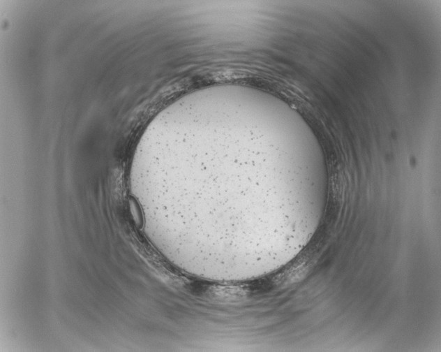 X0000053070327200508081226