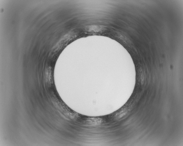 X0000053070328200508081226