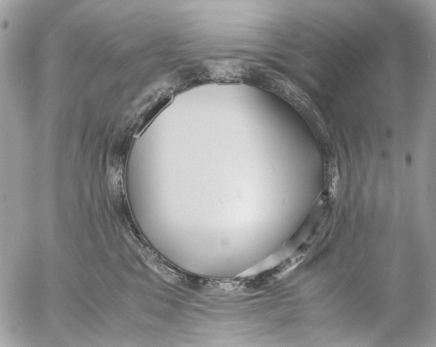 X0000053070329200508081226