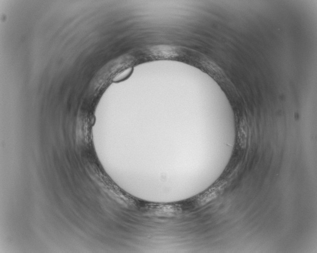 X0000053070330200508081226