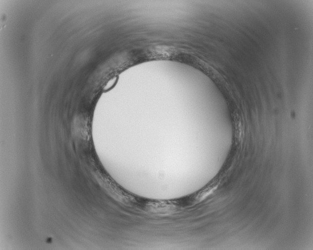 X0000053070331200508081226