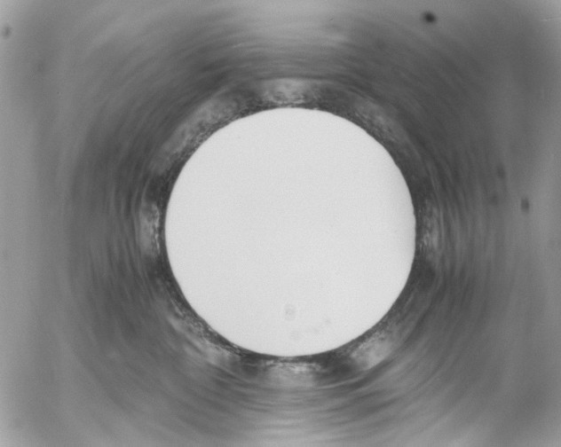 X0000053070332200508081226