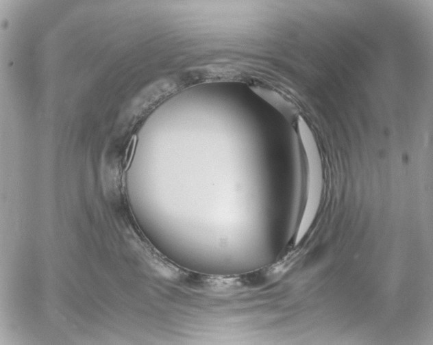 X0000053070333200508081226