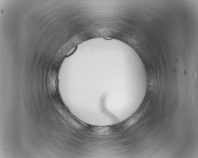 X0000053070334200508081226